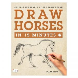 Horse Drawing - Draw Horses in 15 Minutes