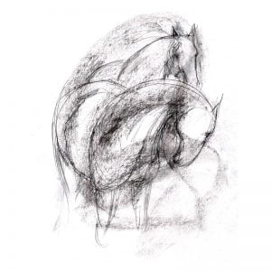 Abstract 1 Horses charcoal and pencil on paper