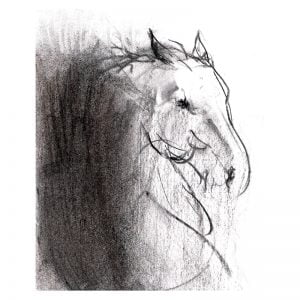 Abstract 4 Horse's head charcoal