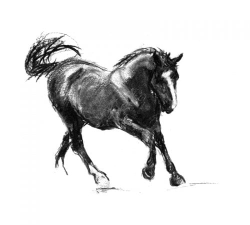 Canter Black horse charcoal drawing lo res MUG