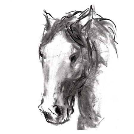 Charcoal 10 Horse's head charcoal drawing MUG