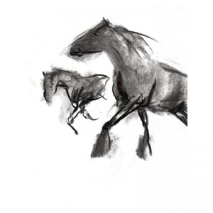 Charcoal 3 two horses in paddock charcoal drawing