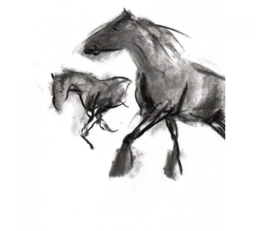 Charcoal 3 two horses in paddock charcoal drawing
