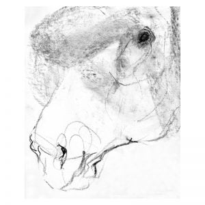 Detail 7 Horse's head charcoal drawing