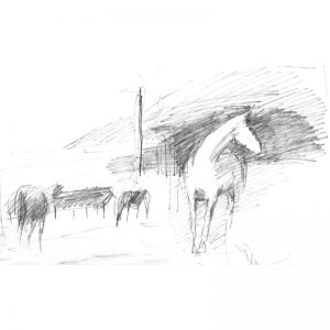 Horses in the Field