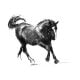 Racing Canter Black horse charcoal drawing lo res