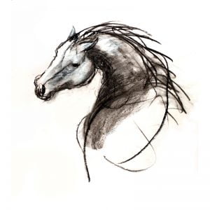 Stallion charcoal and wash on paper MUG