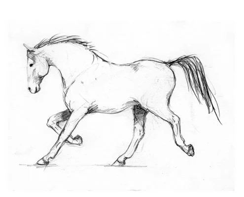 Trotting horse free drawing in pencil