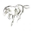 Galloping Horse