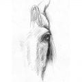 Kind Eye