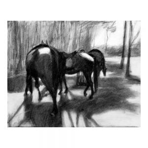 Laikipia 2 Sonya and the horses charcoal on paper