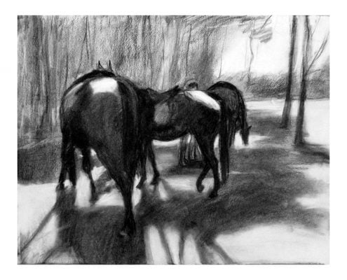 Laikipia 2 Sonya and the horses charcoal on paper
