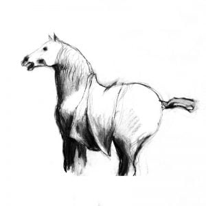Tang Horse with Blanket charcoal on paper
