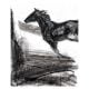 Abstract 5 Forward horse charcoal on paper