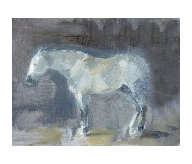 Grey horse 0 oil sketch on board