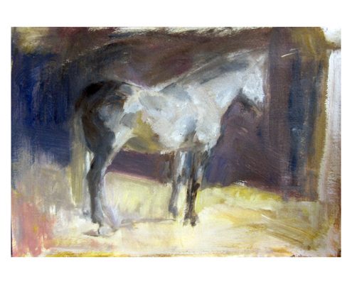 Grey horse study - watercolour on paper