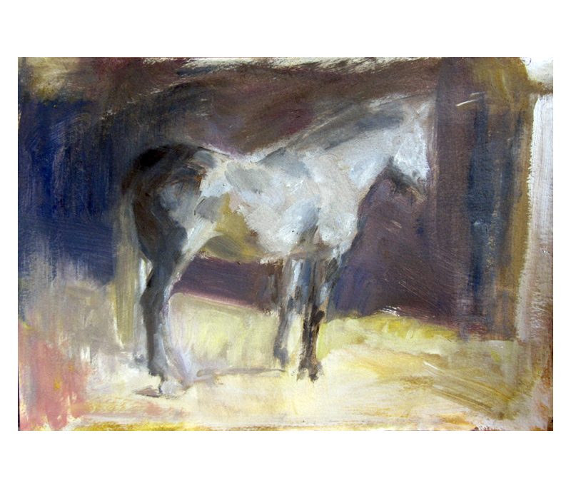 Grey horse study - watercolour on paper