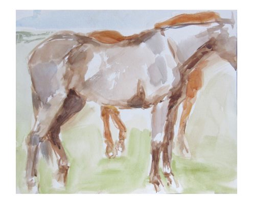 Watercolour sketch of horses