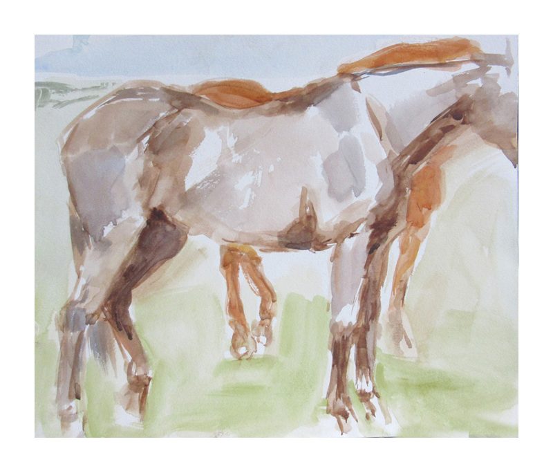 Watercolour sketch of horses