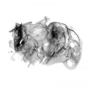 Watercolour sketch of horse 2