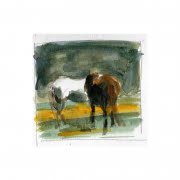 Two horses watercolour by Diana Hand