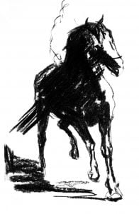 Young horse mixed on paper