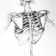 Anatomical drawing from Ruskin School of Art