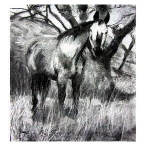 Knabstrup charcoal drawing Diana Hand