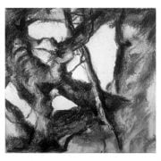 Knapstrub 1b Charcoal study Diana Hand