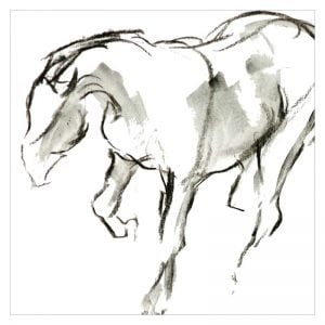 Galloping horse greetings card from drawing by Diana Hand
