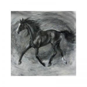 Leo charcoal drawing print Diana Hand