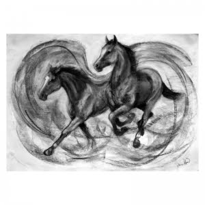 Two Horses Charcoal Drawing Diana Hand