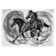 Two Horses Charcoal Drawing Diana Hand