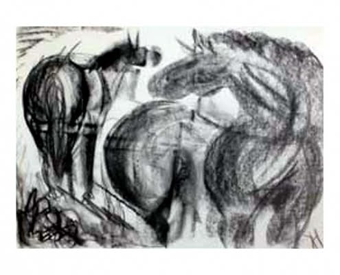 Drawing Horses workshop with Diana Hand Charcoal drawing by student