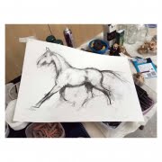 Drawing Horses Workshop with Diana Hand
