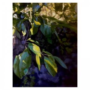 Plum tree 2 oil painting Diana Hand