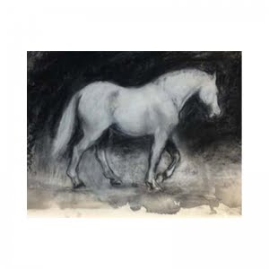 Grey pony mixed media