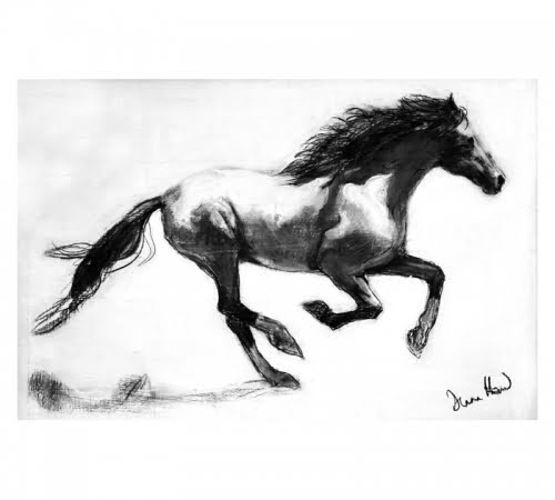 Mustang charcoal drawing by Diana Hand