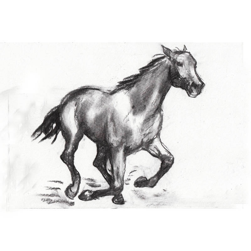 Lot 571 - GALLOPING HORSE, A CHARCOAL SKETCH BY